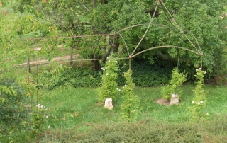Roseraie dans le jardin longue de 13 mètres avec 12 rosiers grimpants