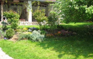 Rosiers et massif de fleurs dans la cour intérieure au bord de la piscine.