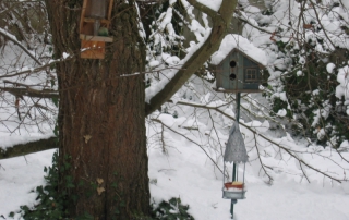 Les même nichoirs à oiseaux dans le jardin en hiver à côté de la marre