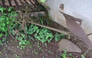 Un vieux brabant (charrue ancienne) décore le jardin. 