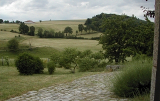 Vue sur la campagne vallonnée depuis la route