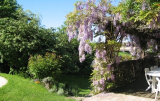 Vue de la cour et de la terrasse en bois à partir de la maison