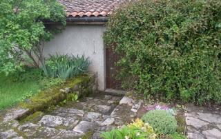 Massif de plantes grasses et fleurs à l'entrée de la maison