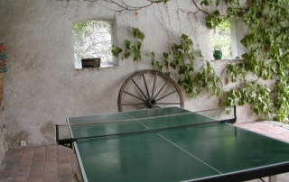 Une table de ping pong avec raquettes et balles est à votre disposition