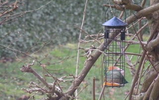 Mangeoire à oiseaux parce que les oiseaux aussi sont invités à Ma Maison de Campagne