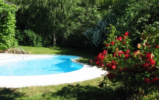 La piscine l'été avec les massifs de fleur